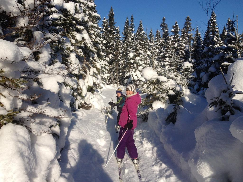 Chalets Du Bout Du Monde Gaspé Zewnętrze zdjęcie